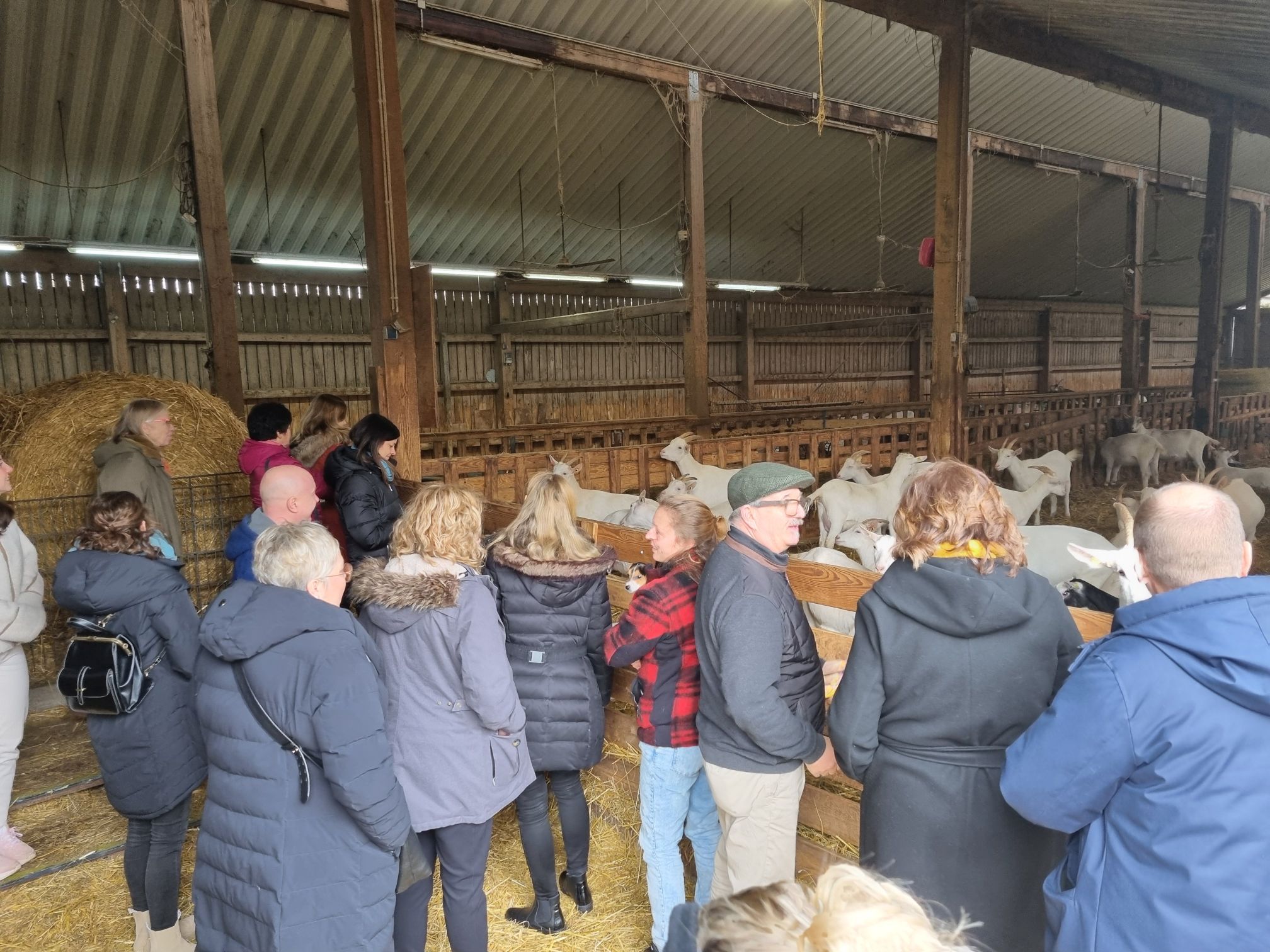 Die Teilnehmenden des Tourismuscluster Netzwerktreffens schauen sich den Ziegenstall auf dem Vulkanhof an.